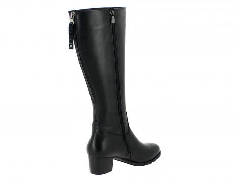 ŽENSKI ŠKORNJI CANILH 586.27 130 BLACK